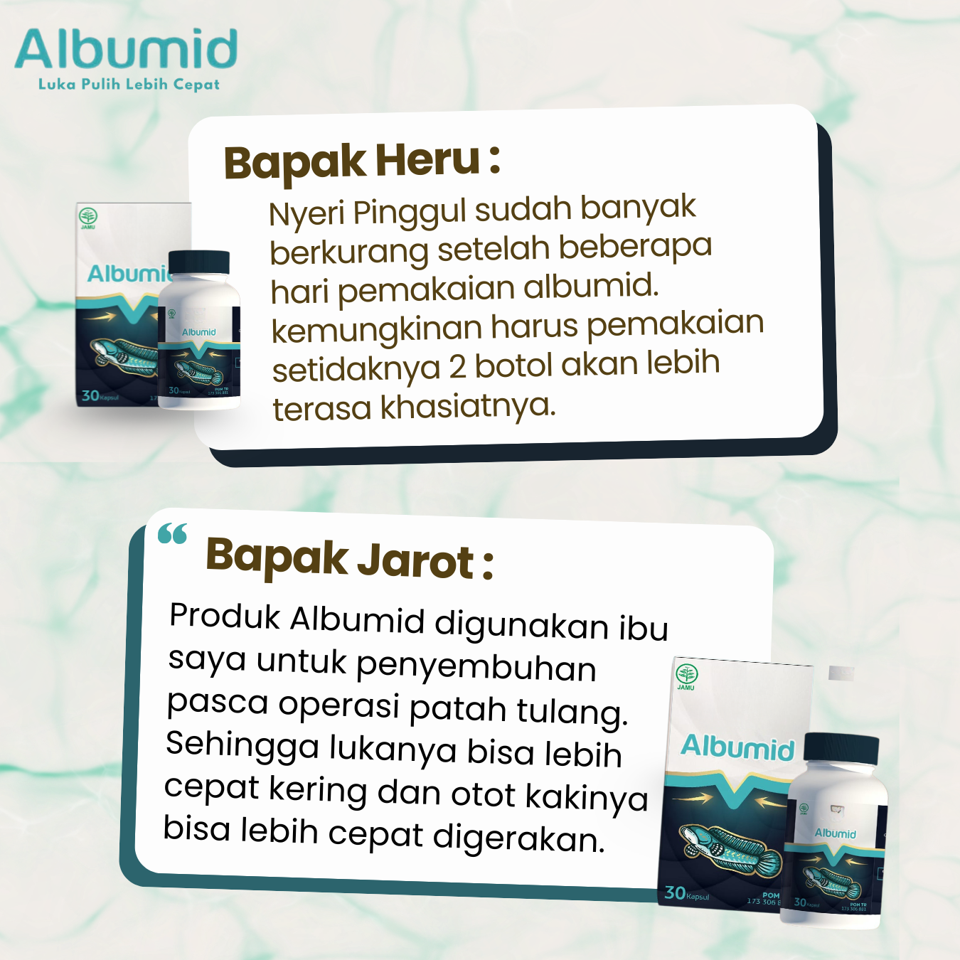 albumid revie new